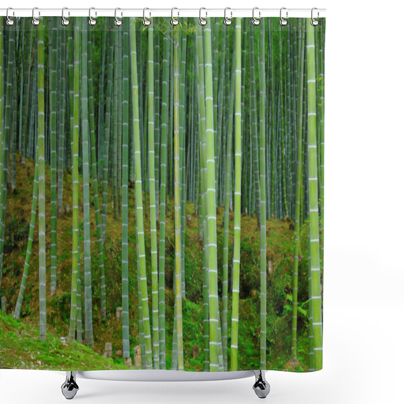 Personality  Green Bamboo Forest Shower Curtains