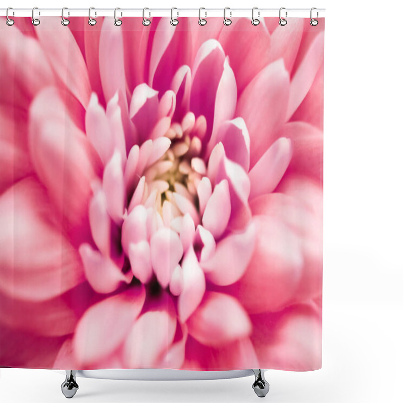 Personality  Coral Daisy Flower Petals In Bloom, Abstract Floral Blossom Art  Shower Curtains