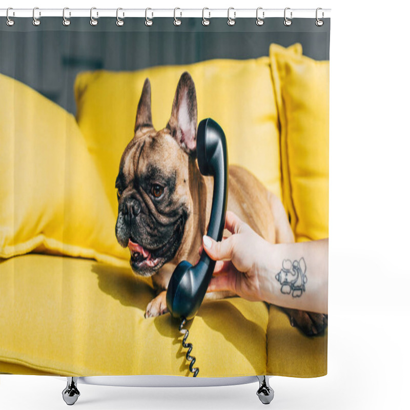 Personality  Cropped View Of Woman With Tattoo On Hand Holding Retro Phone Near Cute French Bulldog  Shower Curtains