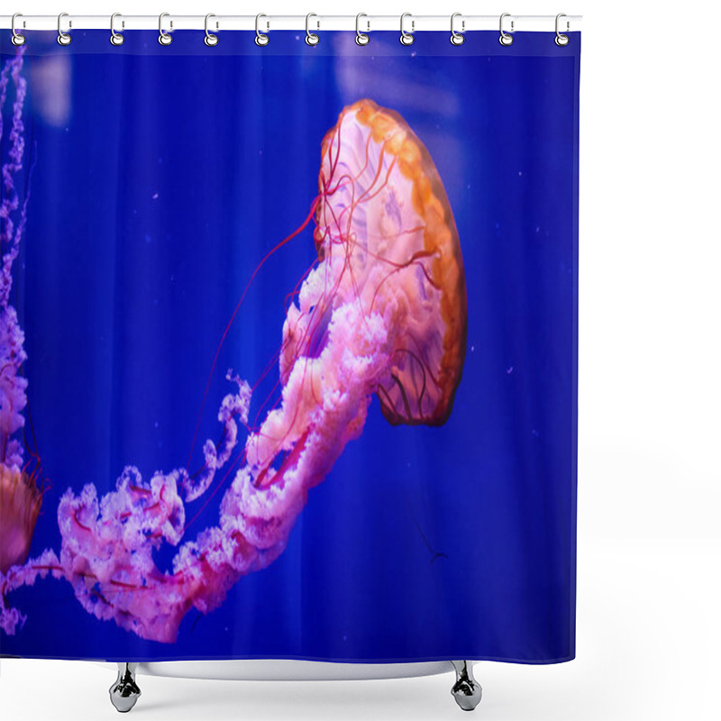 Personality  Beautiful Jellyfish, Medusa In The Neon Light With The Fishes. A Shower Curtains