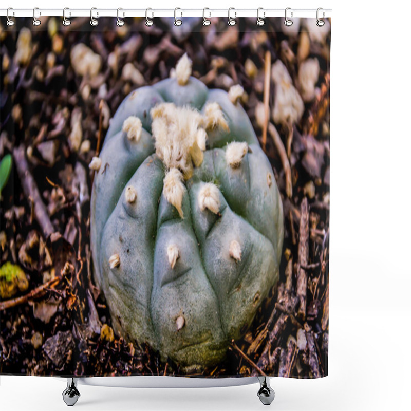 Personality  Peyote Cactus Plant   Shower Curtains