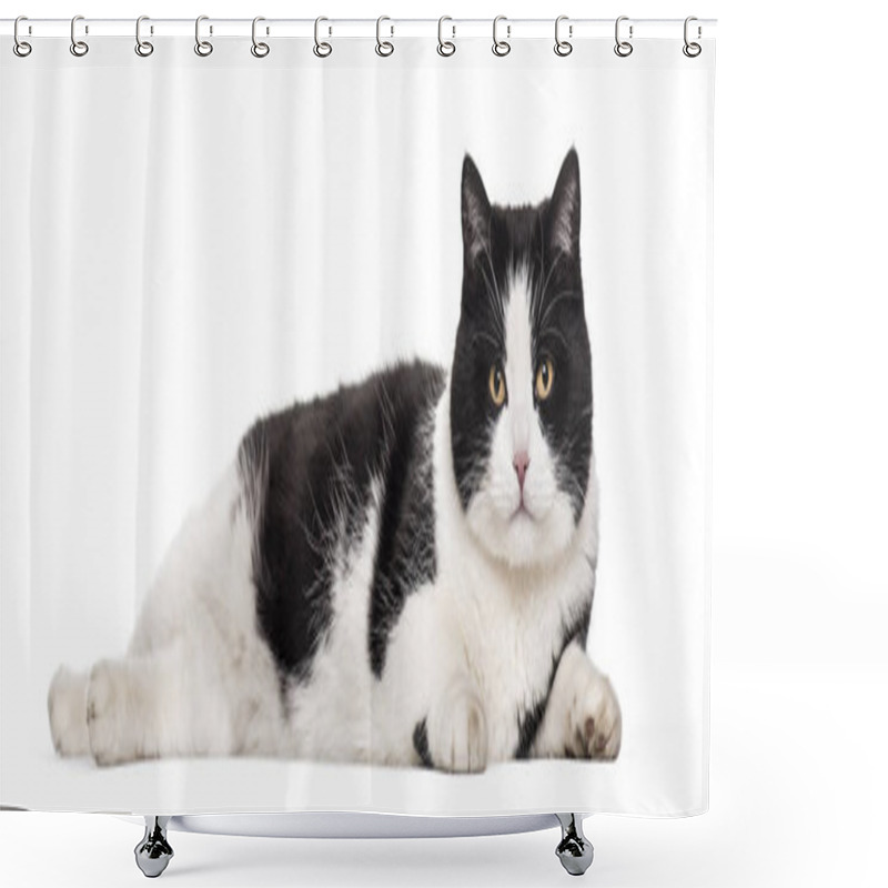 Personality  Mixed-breed Cat Lying Against White Background Shower Curtains