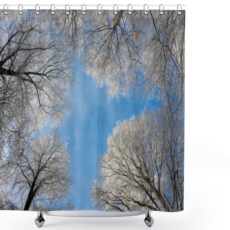 Personality  Frozen Top Trees Shower Curtains