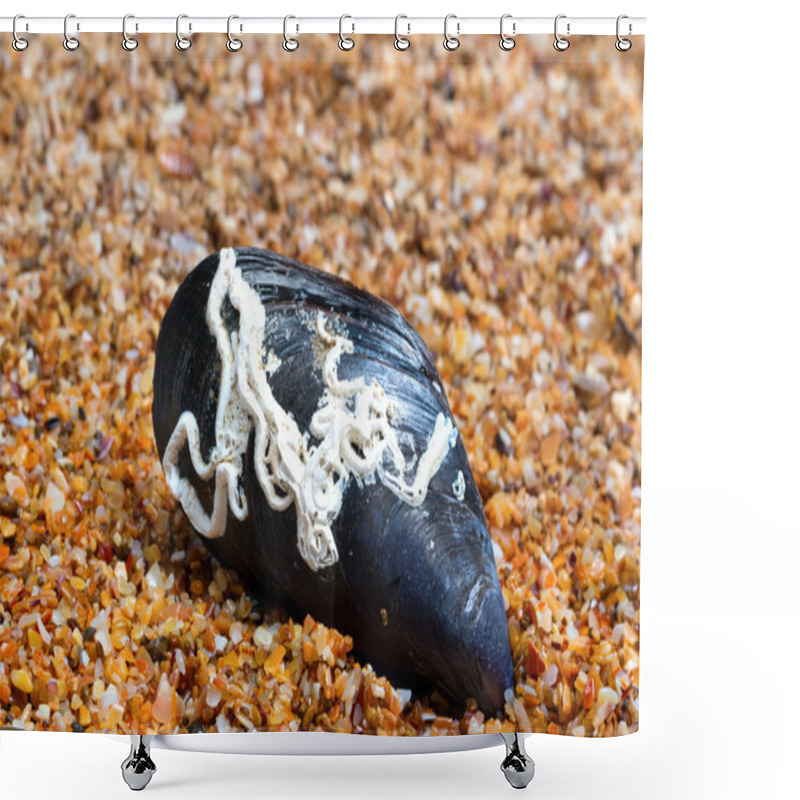 Personality  Shells Of Mussel On Sand Shower Curtains