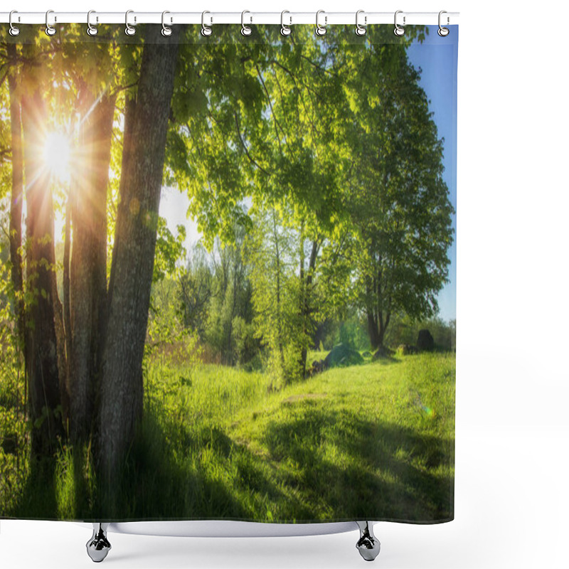 Personality  Summer Landscape Of Green Nature With Bright Sun And Clear Blue Sky In Morning. Countryside View On Scenery Summer Nature In Sunny Day. Green Trees On River Bank Vibrant Color. Natural Rural Scene Shower Curtains