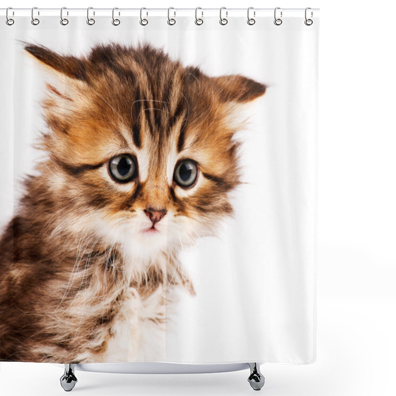 Personality  Cute Kitten Shower Curtains