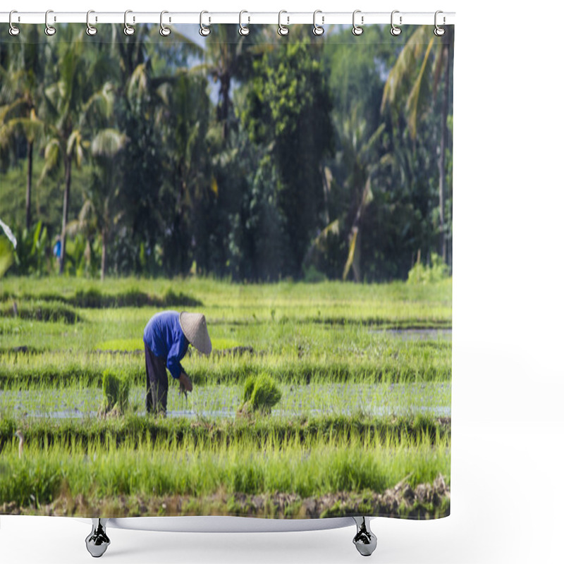 Personality  Farmer gathering rice shower curtains