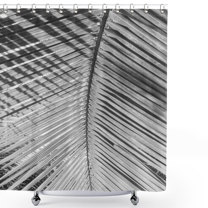 Personality  Palm Tree Branch Against The Light On The Tropical Beach,Style Black And White Shower Curtains