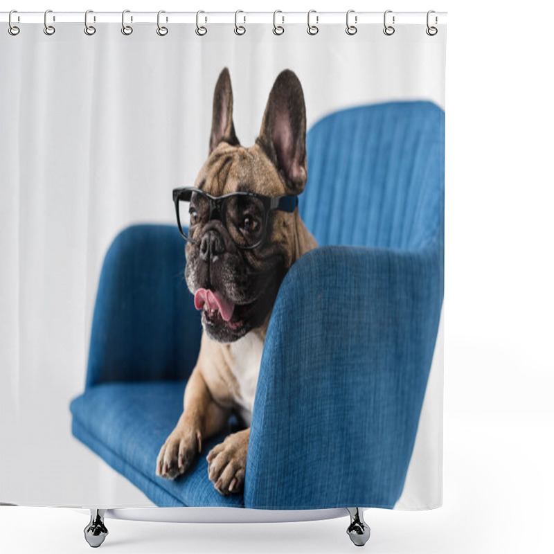 Personality  French Bulldog In Eyeglasses On Chair  Shower Curtains