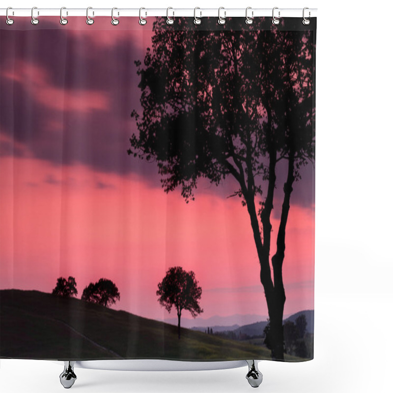 Personality  Backlit Trees In Tuscany Shower Curtains