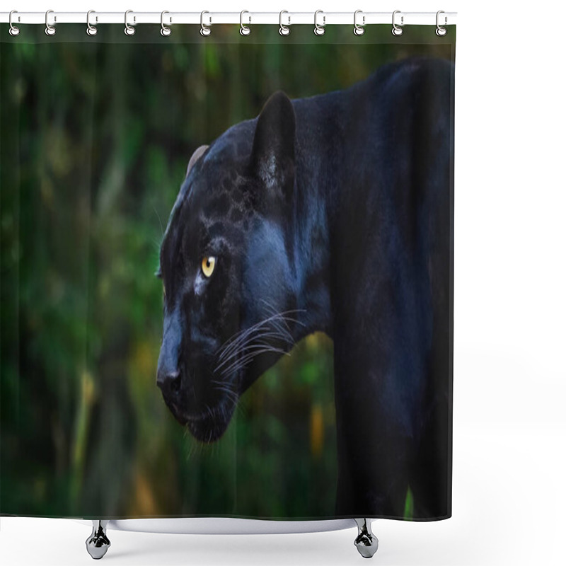 Personality  Black Jaguar (Panthera Onca) - Melanistic Feline Shower Curtains