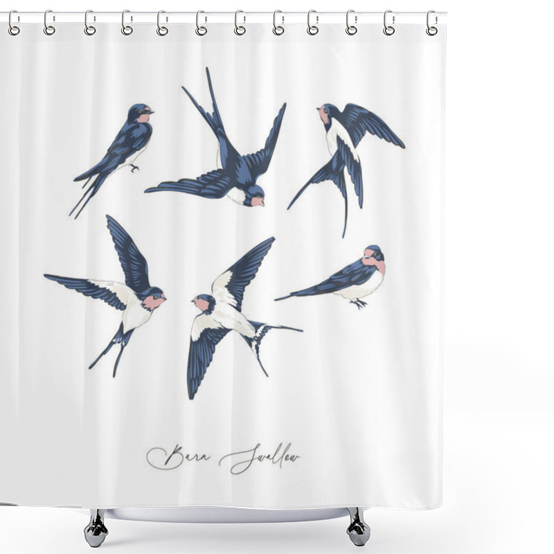 Personality  Barn Swallow Bird Hand Drawn Vector Illustration Set Isolated On White. Shower Curtains