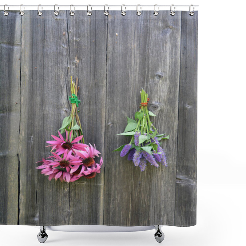 Personality  Medical Herbs Flowers Bunch, Anise Hyssop And Coneflower Shower Curtains