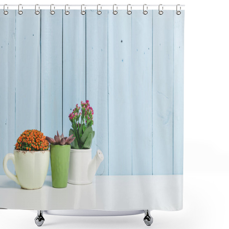 Personality  Succulents, House Plants Shower Curtains