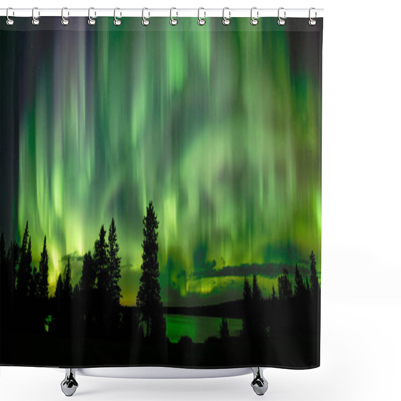 Personality  Very Active Aurora Above Silhouettes Of Spruce Trees And Reflecting In A Clam Lake. Shower Curtains