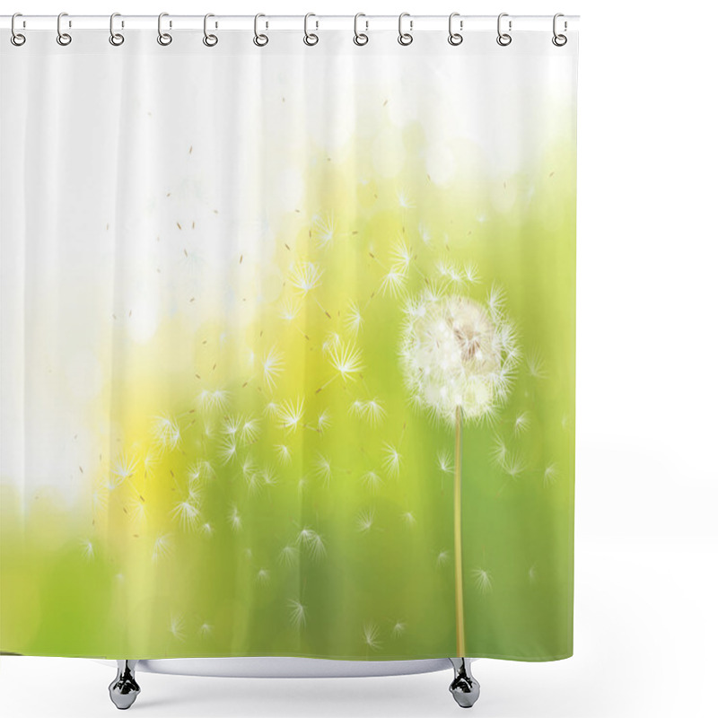 Personality  Spring  White Dandelion. Shower Curtains