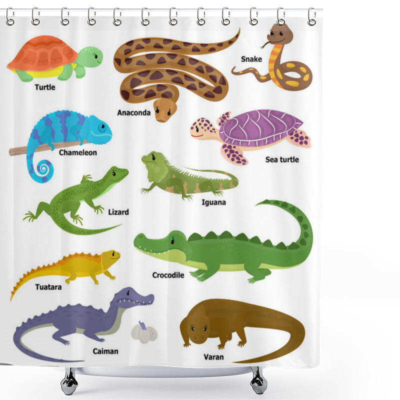 Personality  Reptile Vector Animal Reptilian Character Lizard Turtle Iguana And Chameleon Pet Illustration Set Of Crocodile Varan Dragon Isolated On White Background Shower Curtains