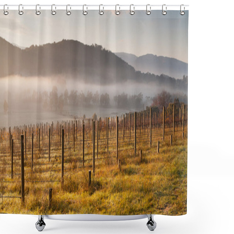 Personality  Vineyard In The Morning Shower Curtains