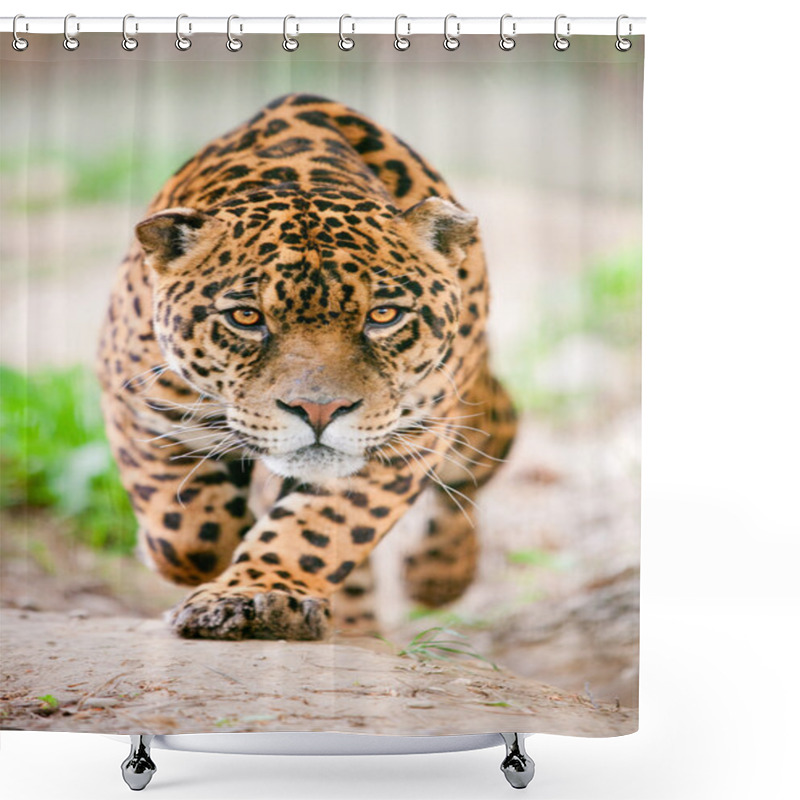 Personality  Aggressive Wild Jaguar Coming To Get You Shower Curtains