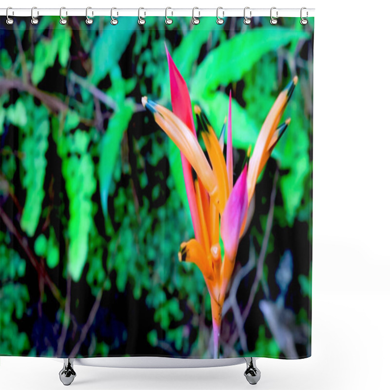 Personality  A Vibrant, Close-up View Of An Exotic Orange And Red Flower Surrounded By Lush Green Foliage, Showcasing The Beauty Of Nature In Vivid And Colorful Detail. Shower Curtains