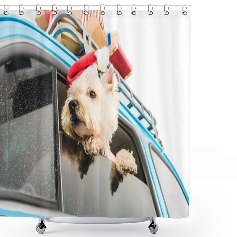 Personality  White Terrier In Car With Christmas Gifts Shower Curtains