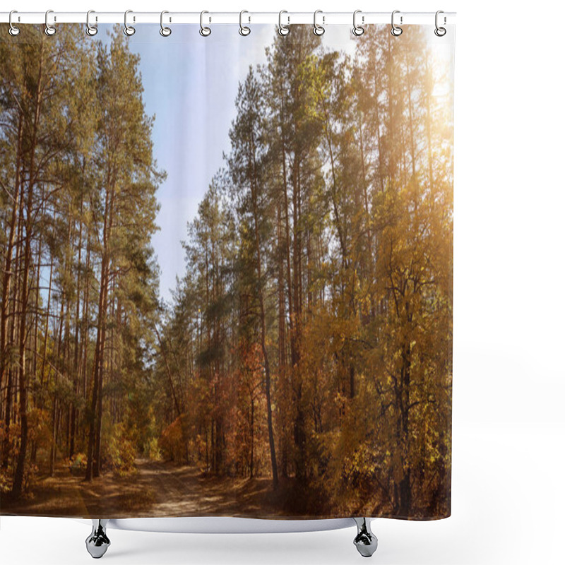 Personality  Sun, Trees With Yellow And Green Leaves In Autumnal Park At Day  Shower Curtains