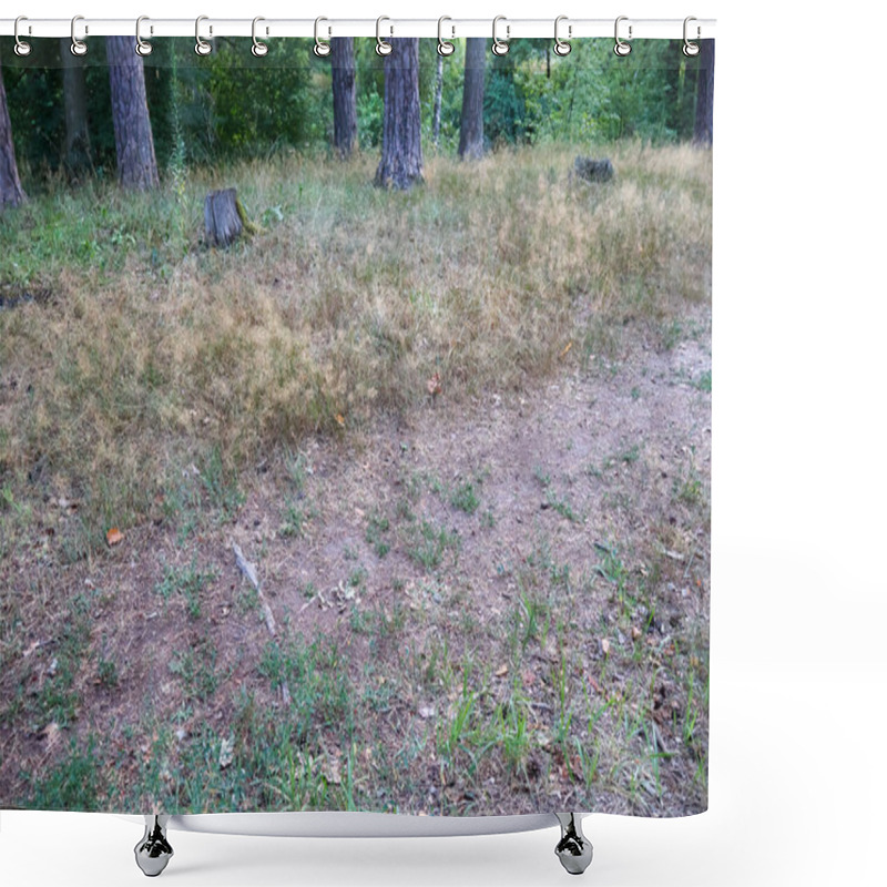 Personality  A Close-up View Of A Forest Ground Covered With Dry Grass, Patches Of Green, And Tree Stumps, Creating A Natural Rustic Landscape Setting. Shower Curtains