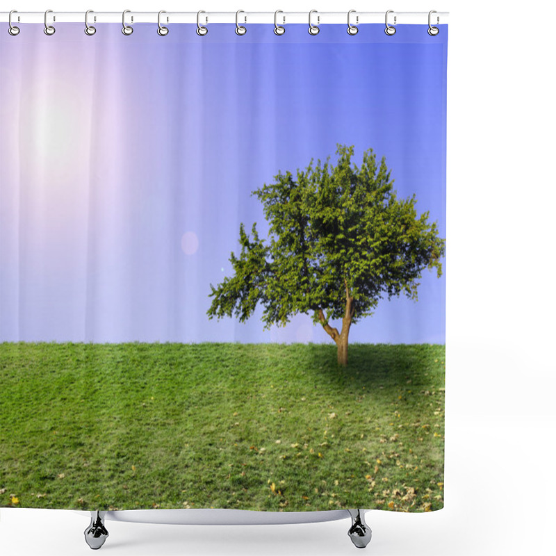 Personality  Big Lonely Tree Shower Curtains