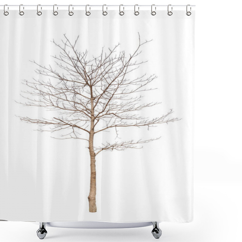 Personality  Old And Dead Tree Isolated On White Background Shower Curtains