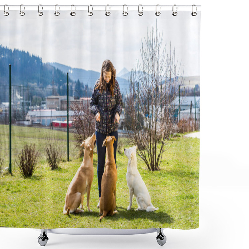 Personality  Young Woman With Pets In The Garden, Dog Training In Slovakia Shower Curtains