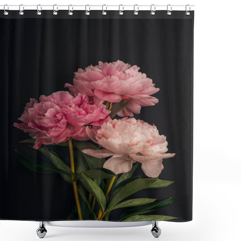 Personality  Three Pink Peony Flowers On Black Background. Shower Curtains