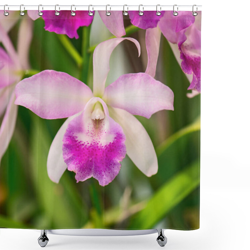 Personality  Nature Orchid Flora. Shower Curtains