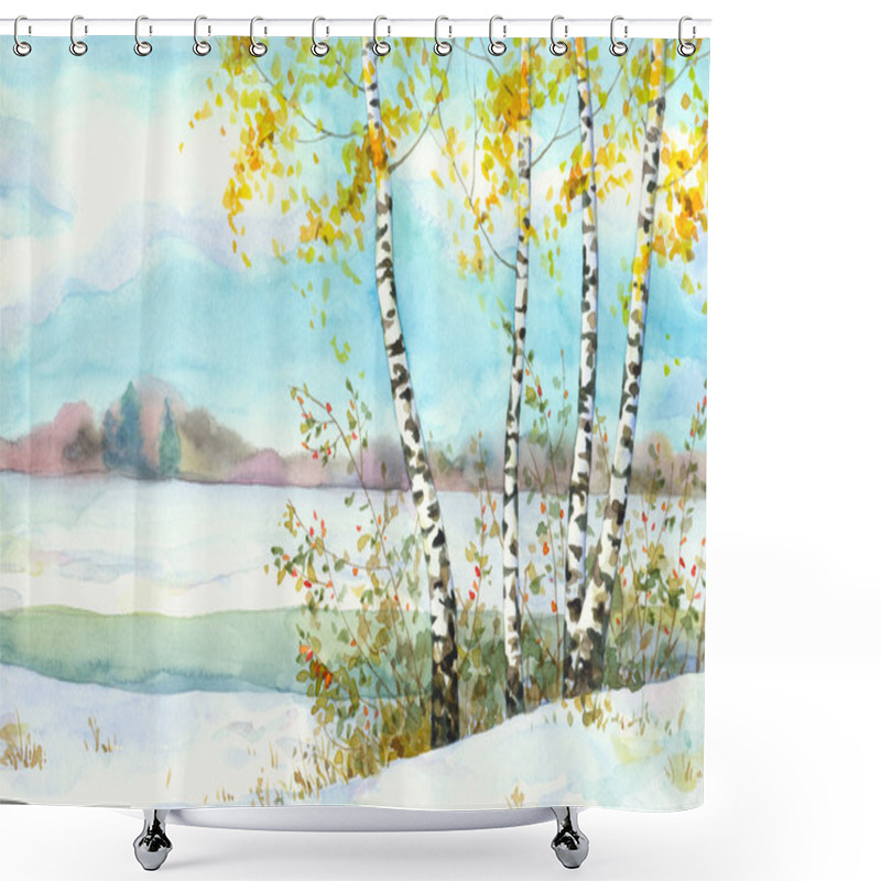 Personality  Birches In Snowy Field Shower Curtains