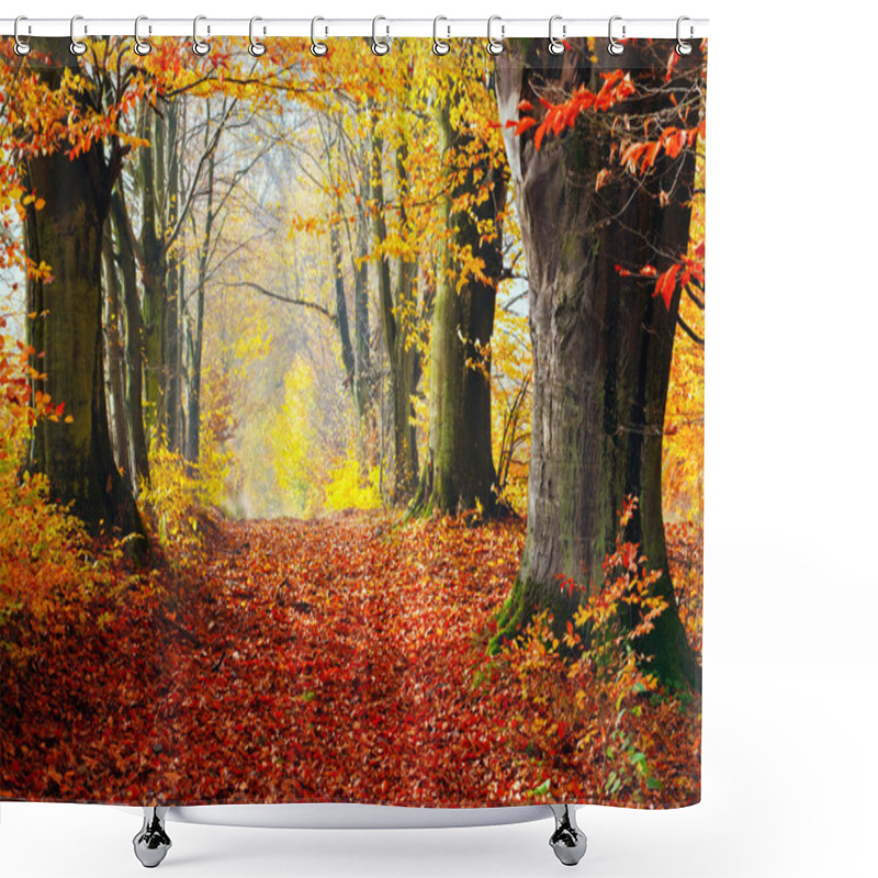 Personality  Autumn, Fall Forest. Shower Curtains