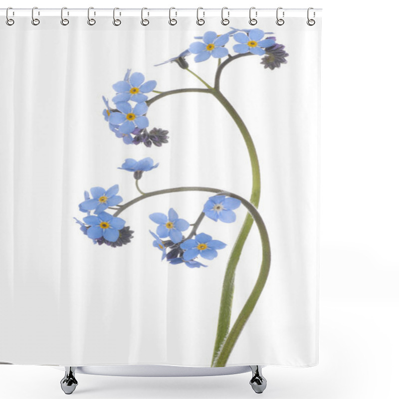 Personality  Forget Me Not Shower Curtains