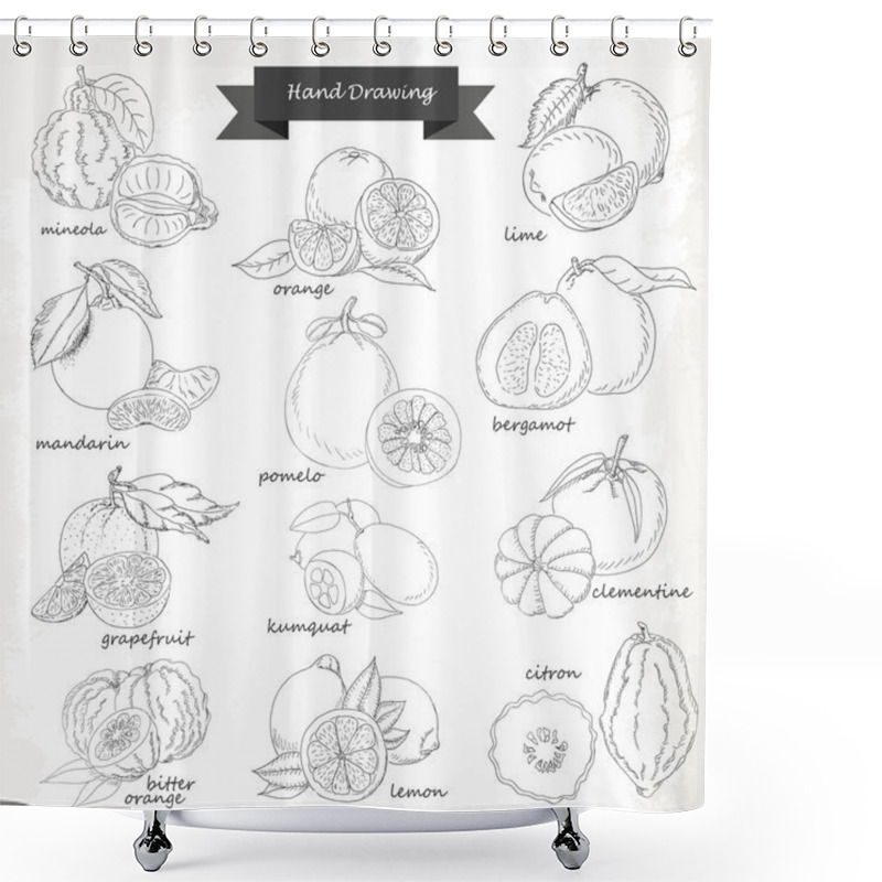 Personality  Set Of Citrus Fruits. Vector Hand Drawing Sketch Illustration Shower Curtains