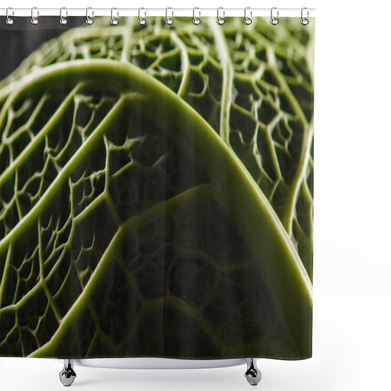 Personality  Texture Of Green Fresh Savoy Cabbage Leaf Shower Curtains