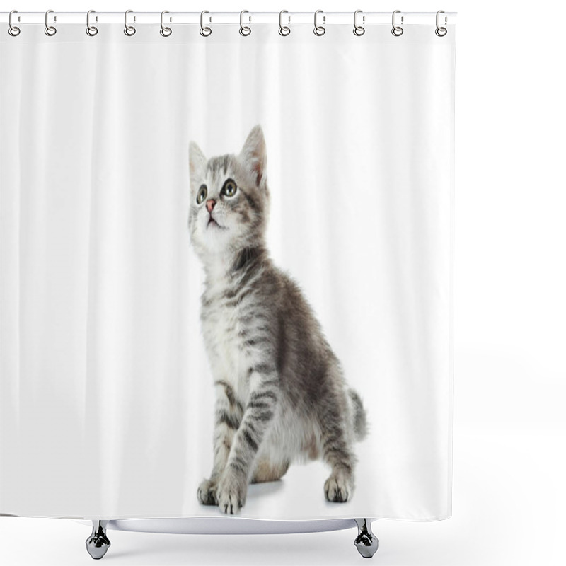 Personality  Beautiful Grey Cat Sitting  Shower Curtains