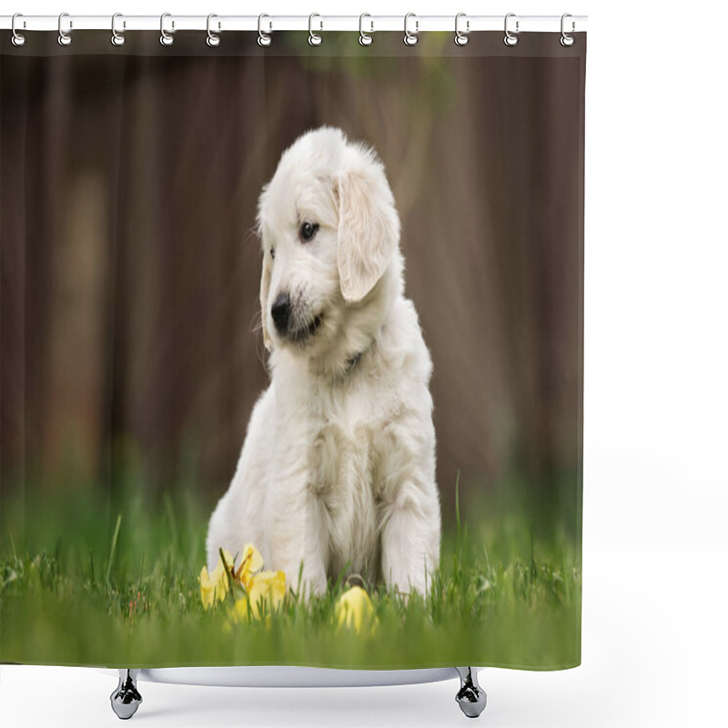 Personality  Golden Retriever Puppy Sitting On Grass In Summer Shower Curtains