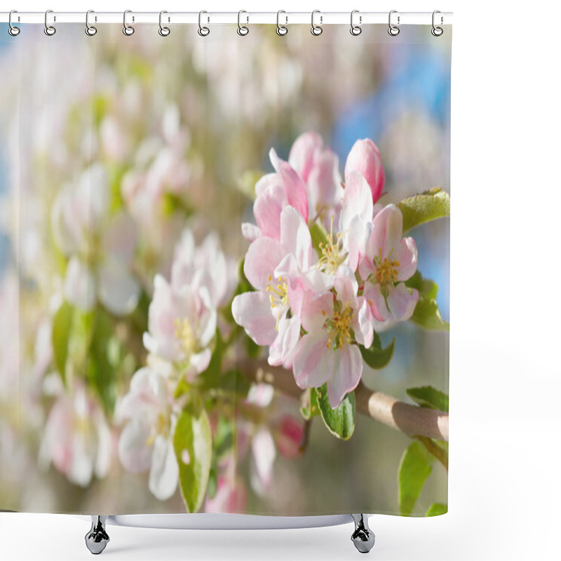 Personality  Spring Blossoms Shower Curtains