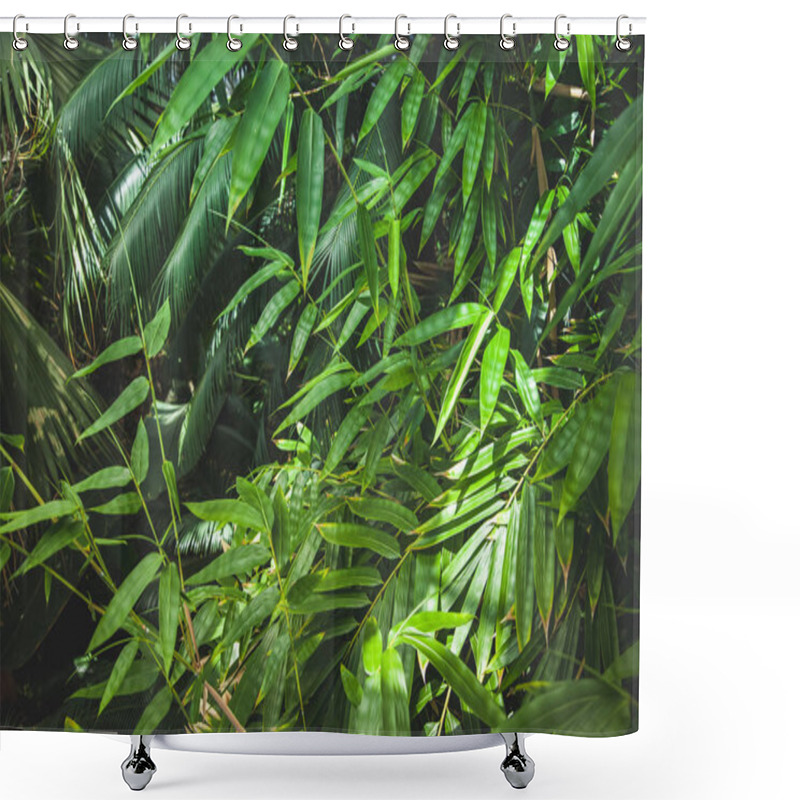 Personality  Close Up View Of Green Palm Leaves Background Shower Curtains