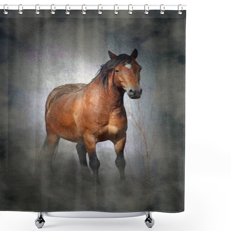 Personality  Welsh Cob Pony Horse With A Moody Misty, Grungy Texture Background Shower Curtains