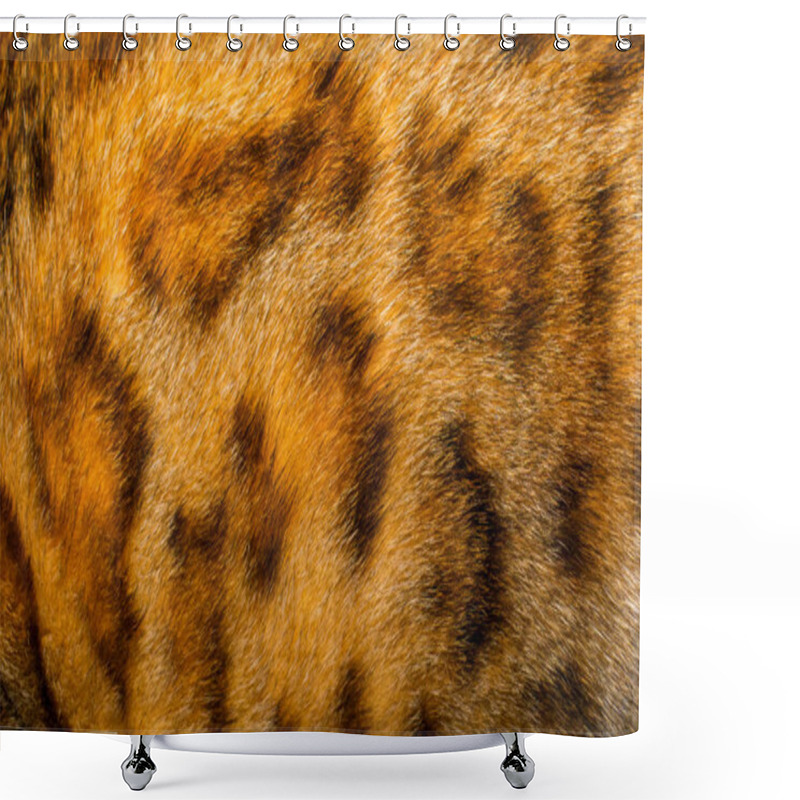 Personality  Close Up Detail Of Bengal Cat Brown Rosettes Spots Wooly Texture. Animal Fur Background Shower Curtains