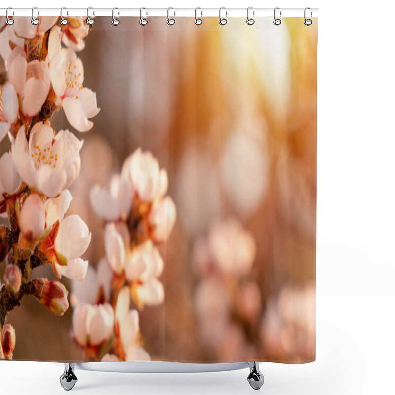 Personality  Flowers Of The Almond Tree Against The Sunset. Beautiful Nature Scene With Blooming Tree And Sun Flare. Spring Flowers. Beautiful Orchard. Springtime Space For Text. Shower Curtains