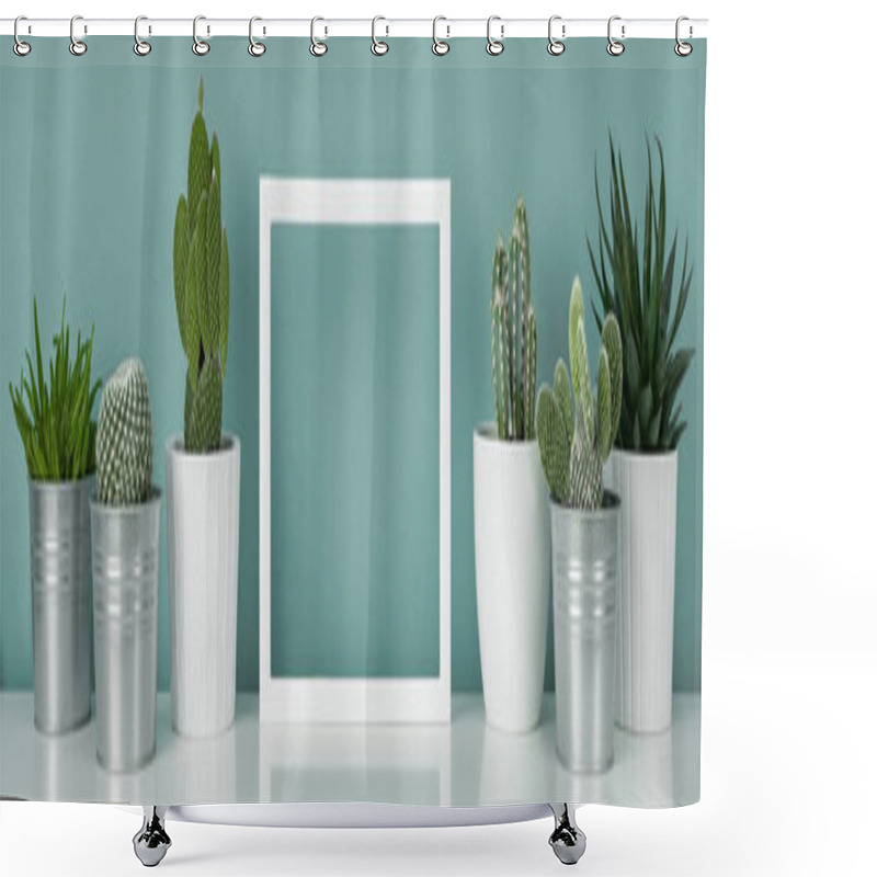 Personality  Collection Of Various Cactus And Succulent Plants In Different Pots. Potted House Plants On White Shelf Against Turquoise Colored Wall And Picture Frame Mock Up Banner. Shower Curtains