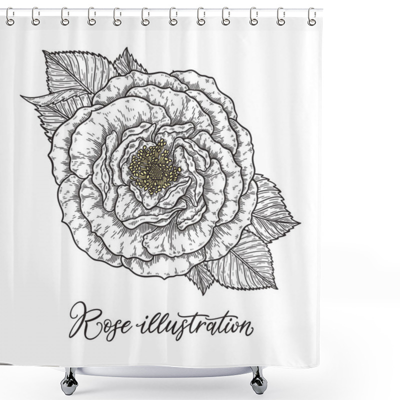 Personality  Roses Flower Bouquet Hand Drawn In Lines. Black And White Monochrome Graphic Doodle Elements. Isolated Vector Illustration, Template For Design Shower Curtains