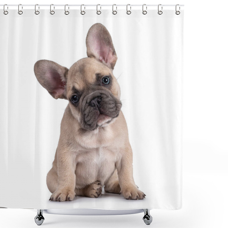 Personality  Adorable Fawn French Bulldog Puppy, Sitting Up Facing Front. Looking Curious Towards Camera With Blue Eyes And Cute Head Tilt. Isolated On A White Background. Shower Curtains