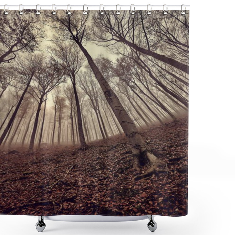 Personality  Bare Trees Against Gloomy Sky Shower Curtains