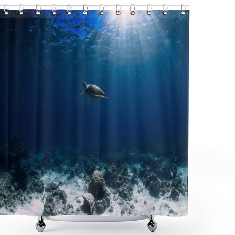 Personality  Turtle Glides In Blue Ocean. Green Sea Turtle Underwater Shower Curtains