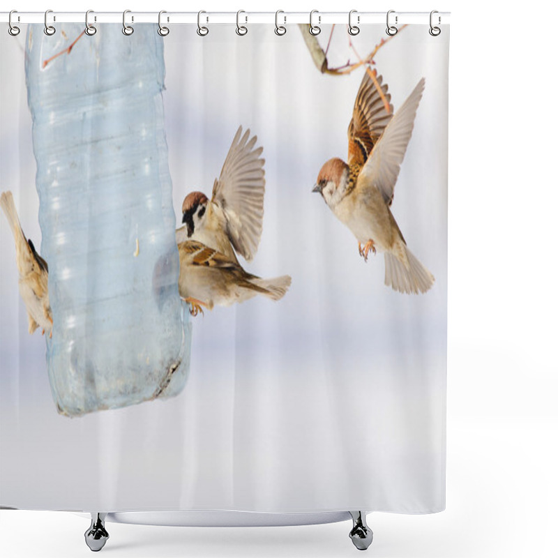 Personality  Flock Birds Sit On Manger Shower Curtains